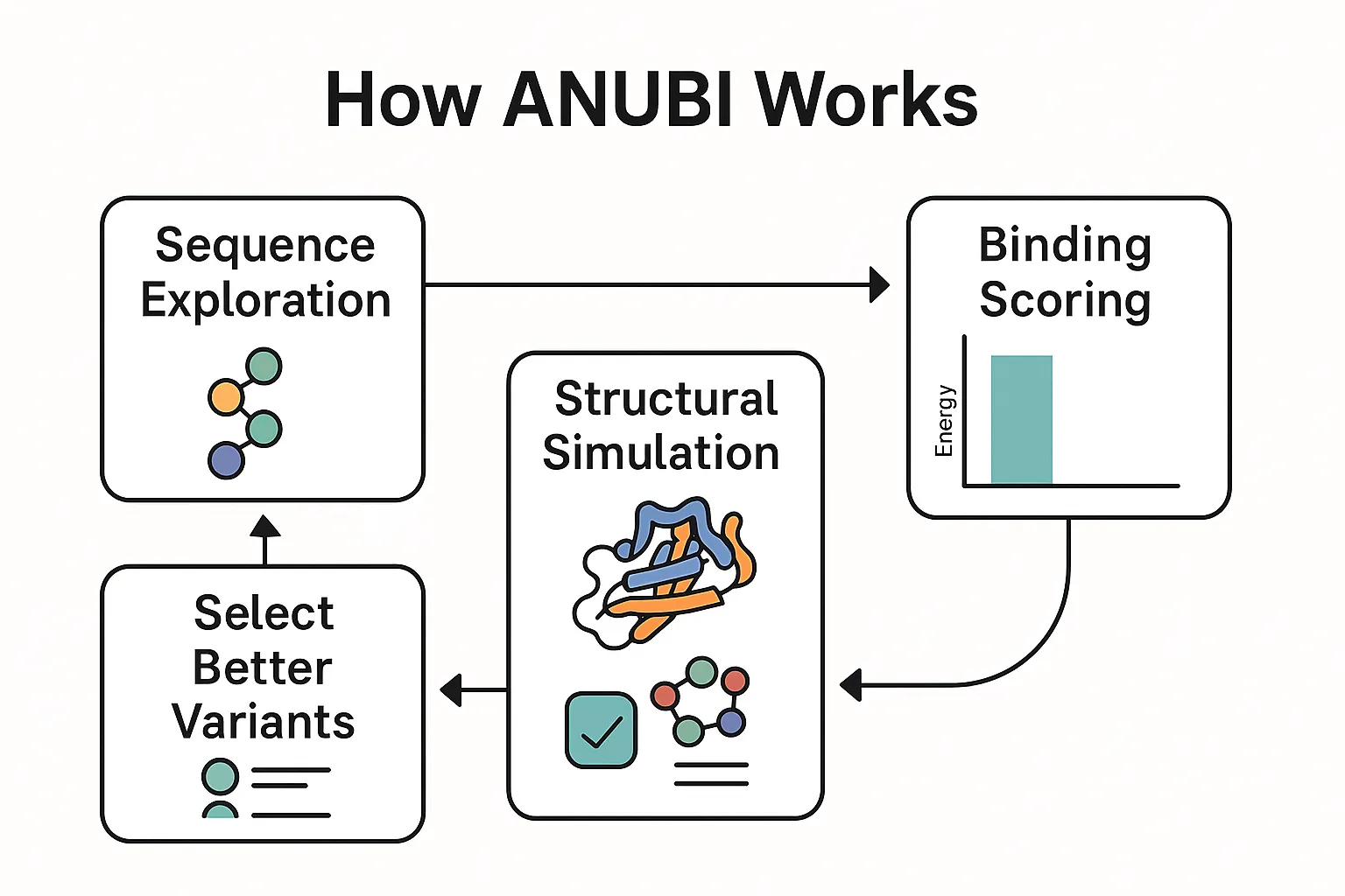 How ANUBI Works – A two-part computational platform integrating sequence exploration with structural simulation and binding-energy scoring.