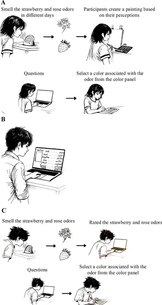 Diagram showing the setup for each of the three phases in Study 1.