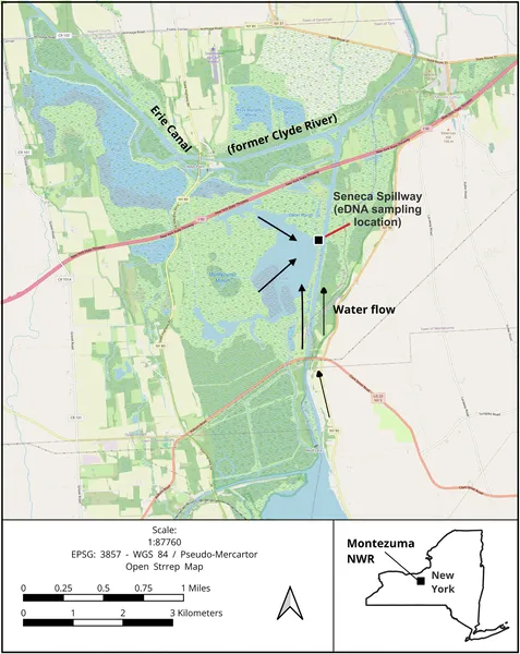 Map of water flow and sample sites at Montezuma NWR's Main Pool during peak 2020 fall waterfowl migration.