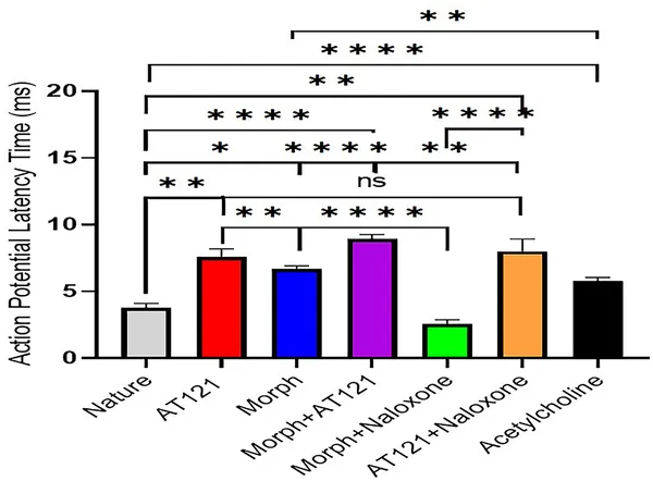 Morphine, AT121, acetylcholine, and naloxone affect nerve signal delay in newborn mouse brain cells after 5 minutes at 10 µg/ml.