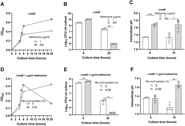 Lowering internal pH helps bacteria survive better when grown with different methionine levels or ammonia.