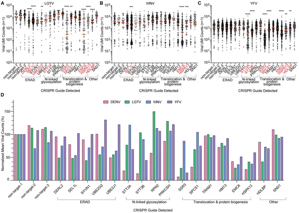 Different viruses rely on unique host genes for infection, shown by varying viral levels in cells with specific gene disruptions.