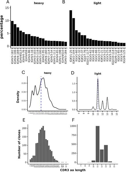 This figure shows the main types and lengths of antibody parts in Ag + B cells, highlighting common patterns and diversity.