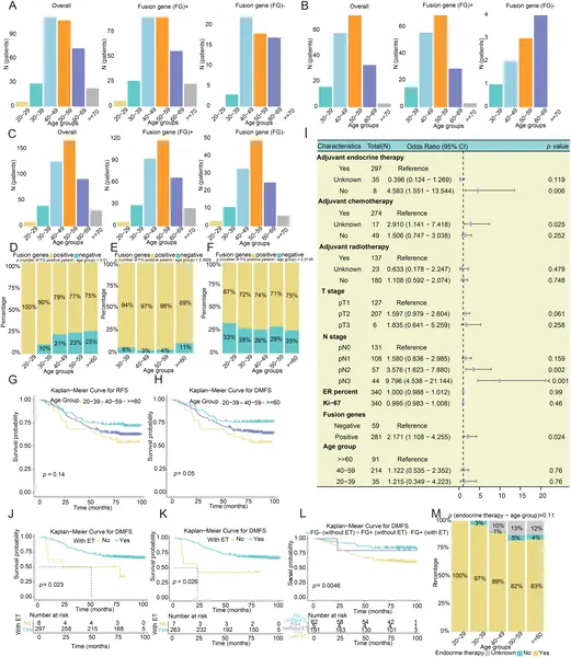 Age groups and FG status affect breast cancer subtypes, survival rates, and treatment outcomes in the FUSCC-BRCA patient cohort.