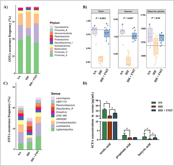 FMT changed gut bacteria types, diversity, and beneficial compounds in rats after low-oxygen stress.