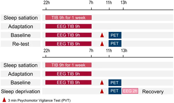 Overview of the study design showing participants' time spent in bed (TIB).