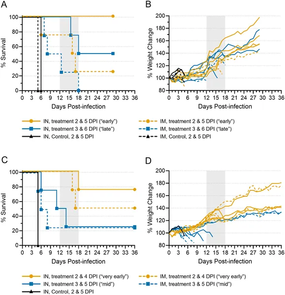 Human antibody treatment gave limited protection to ferrets infected with Ebola virus, with timing and infection route affecting survival and weight.