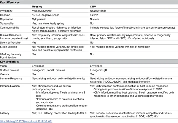 Table comparing key biological features of cytomegalovirus and measles virus.