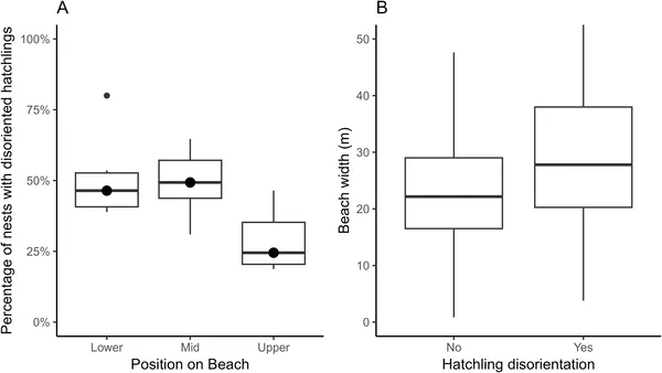 Boxplots show yearly percentages of disoriented nests by beach position and how beach width affects disorientation rates.