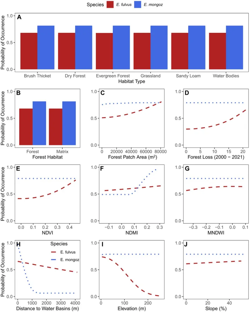 Graphs show how changes in environmental factors affect the chances of finding E. fulvus and E. mongoz species.