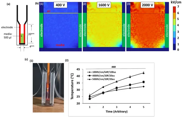 Setup and simulation of electric fields and temperature changes in culture media during electrical experiments with varying voltages.