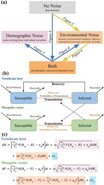 Diagram showing study models, how environmental and demographic factors affect infection spread, and how host and vector infections change over time.