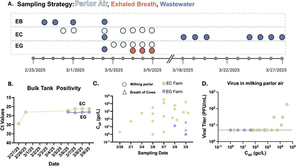 Air and milk samples from California dairy farms showed presence and levels of infectious H5N1 virus over time.