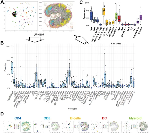 Fig 2 shows how different human lymph node cells are grouped and mapped in 27 samples, highlighting key immune cell types and their distribution.