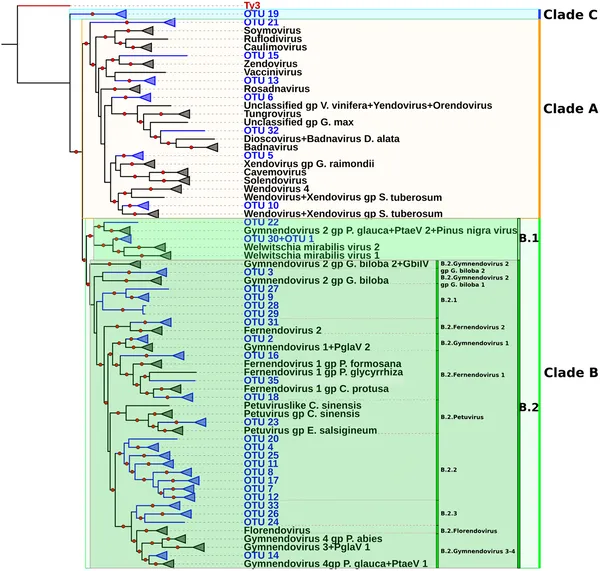 A family tree of Caulimoviridae viruses shows their groups and new types found, with strong support marked by red circles and color-coded clades.