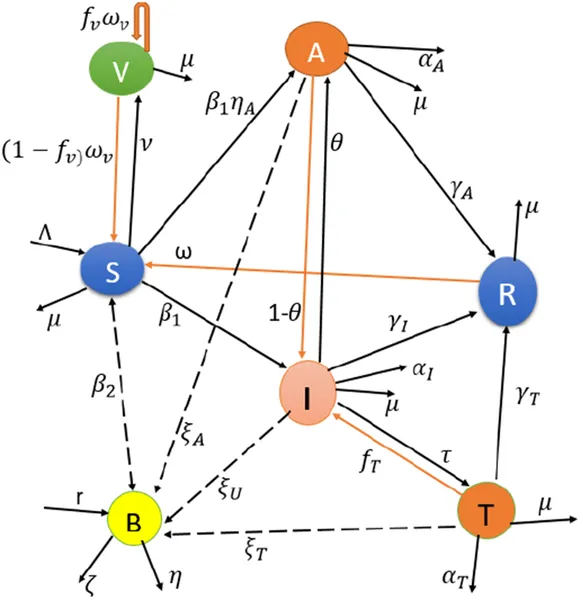 Diagram showing how cholera spreads through people and the environment, including different stages of infection and bacteria in water.