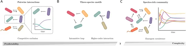 Can we predict how species live together by studying pairs, or do complex community interactions create unique coexistence patterns?