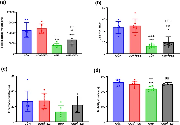CUP lowered activity, while FES boosted movement in an open field test, showing clear differences between groups.