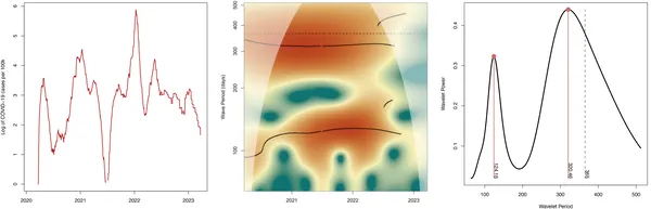 Massachusetts COVID-19 cases show yearly and four-month cycles in infection rates, revealed by wavelet analysis of case data.