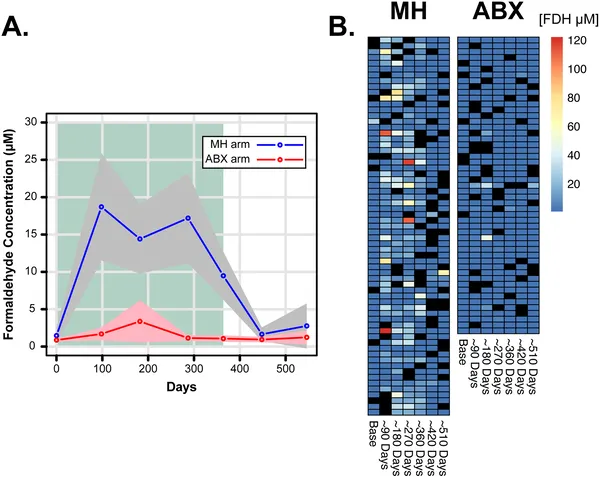 Formaldehyde levels in urine were tracked over time during treatment, showing changes and variability across participants.