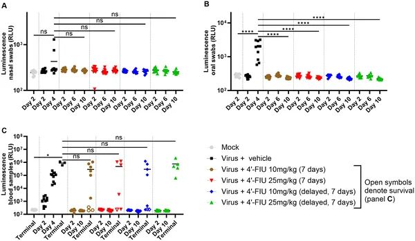 4’-FIU treatment reduced virus spread and shedding in hamsters infected with rNiV-B, tracked by glowing signals in nose, mouth, and blood over 10 days.
