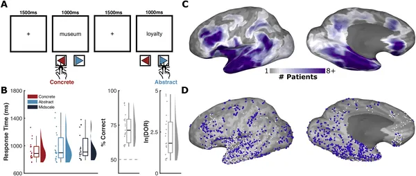 Patients judged word concreteness while brain activity was recorded from 2,241 electrodes, highlighting active areas during 300–700ms after word onset.