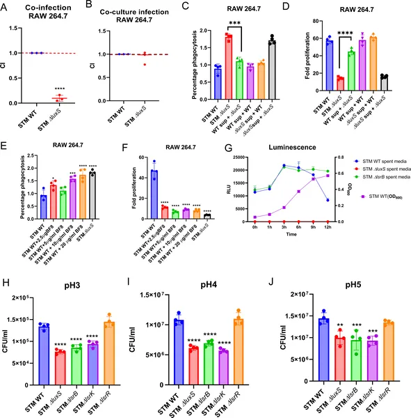 STM ∆ luxS bacteria gain AI-2 signals from STM WT during growth, affecting infection and survival in immune cells and varying pH conditions.