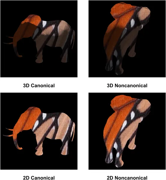 Images show a 3D elephant-butterfly from different angles and the same image in flat 2D form for comparison.