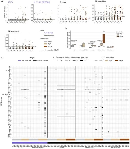Deep sequencing reveals changes in virus mutations after ACV treatment, highlighting differences between treated and untreated samples.