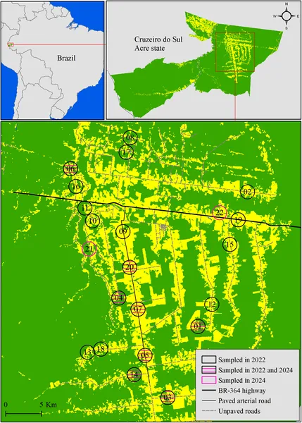 Map of Cruzeiro do Sul, Brazil, showing forest and human areas with 22 spots where bugs were studied in 2022 and 2024.