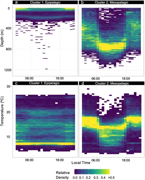 Daily depth and temperature patterns for two groups based on data from 16 tagged subjects.