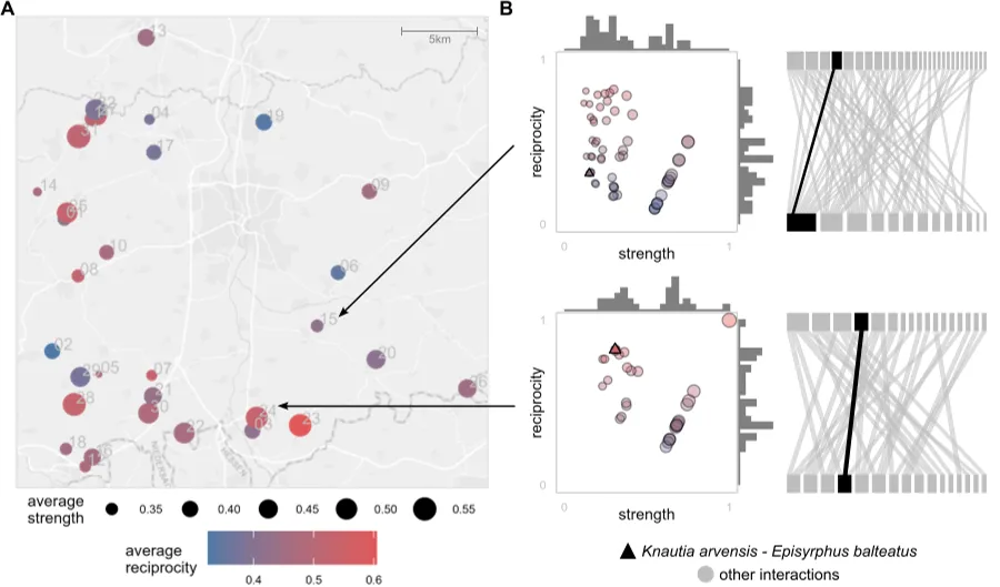 Figure 2 shows maps of 32 grassland sites with measures of interaction reciprocity and strength (A) and detailed interaction networks for two sites between p...