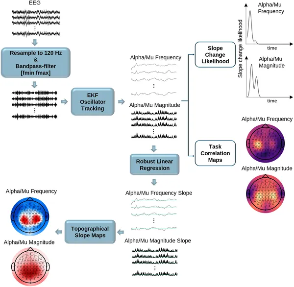 This figure shows how brainwave data was cleaned, filtered, and analyzed to track changes in brain activity related to movement tasks over time.