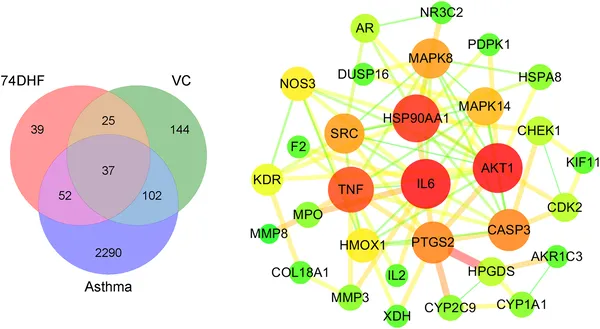 Diagram showing shared targets of 74DHF, VC, and asthma, plus a network of how 37 of these targets interact.