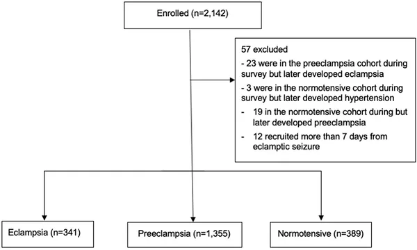 Overview of how participants were selected and joined the study.