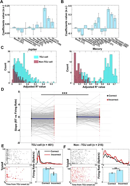 Neurons in mPPC show strongest activity changes during TOJ tasks, especially in early, retrieval, and response phases of the task.