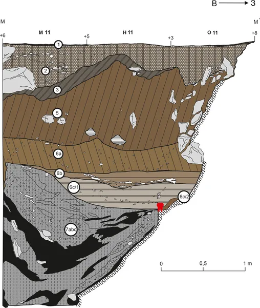 Location and layers where the Chagyrskaya 64 molar was found, shown using excavation data.
