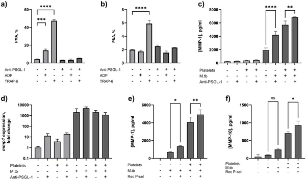 Blocking PSGL-1 reduces platelet-leucocyte clumping and boosts MMP-1 release from infected immune cells, with or without platelets.