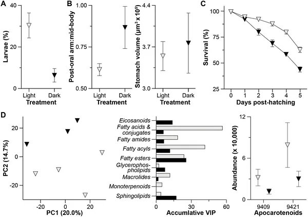 Sea urchin larvae raised in light grow better, survive more, and show different metabolism than those raised in dark conditions.