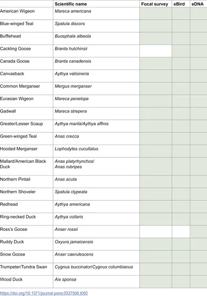 Waterfowl species found using visual surveys, eBird checklists, and DNA testing during 2020 field sampling.