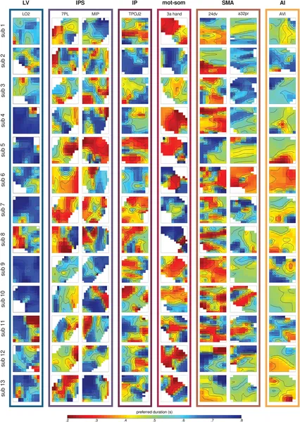 Maps show brain areas' preferred time durations from 0.2s (red) to 0.8s (blue) across different regions and participants.