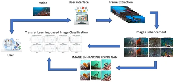 Diagram showing how underwater videos are enhanced and analyzed to identify objects using a classification model.