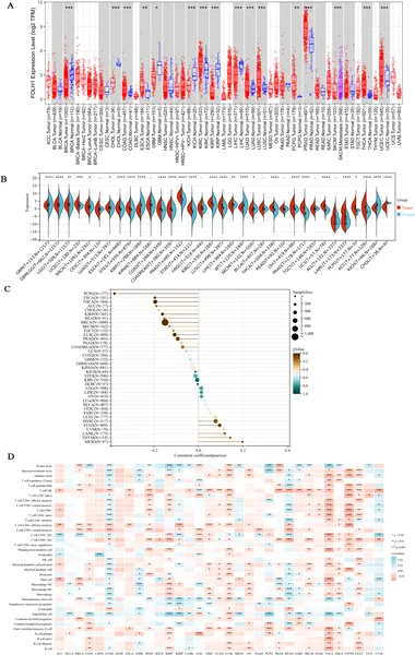 FOLH1 gene activity differs between normal and tumor tissues and relates to age and immune cell presence across cancers.