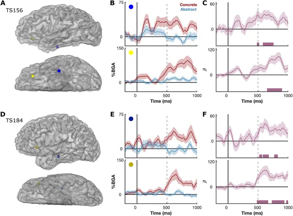 Brain activity in two patients shows different responses to concrete vs. abstract words, highlighting key brain areas involved.