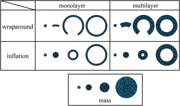 Fig 2 shows how the 5 basic types develop over time, with time on the horizontal axis.