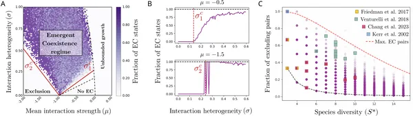 Simulations show how species interactions lead to different coexistence patterns in ecosystems, highlighting areas where species exclude each other or coexist.