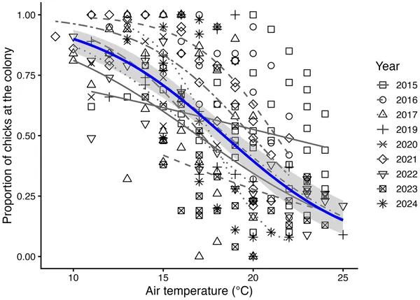 Shows how the share of chicks at the colony changes with temperature above 18°C, tracked yearly with a trend line and confidence range.