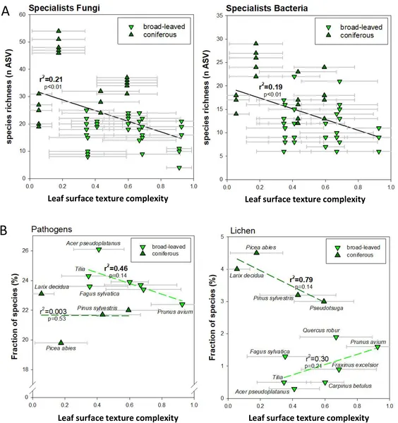 Fungal and bacterial diversity, including pathogens and lichens, increases with leaf surface texture complexity, shown by species counts and stats.