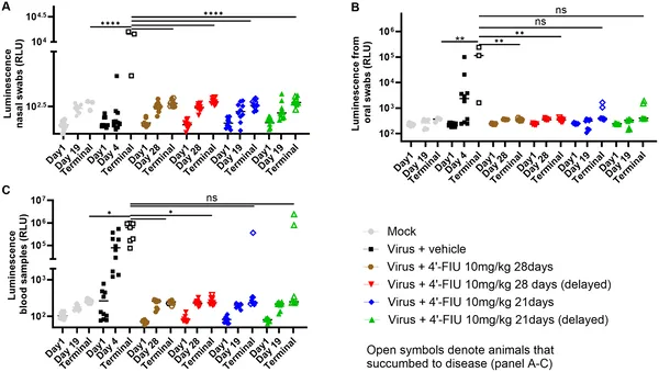Prolonged 4’-FIU treatment reduces virus shedding and spread in hamsters infected with rNiV-B, shown by decreased luminescence in nasal, oral, and blood samples.