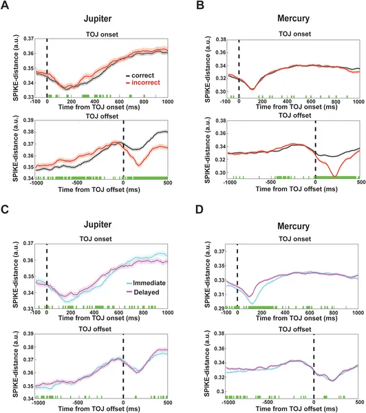 Brain cell activity synchrony rises during correct memory tasks, especially when tested immediately, showing how timing affects recall success.